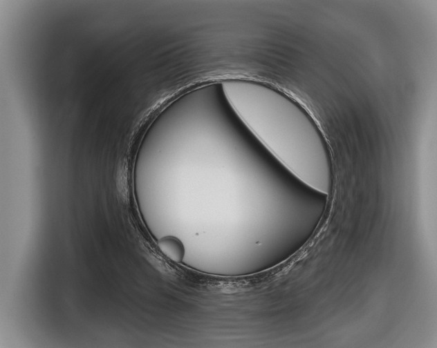 X0000116430345200912081225