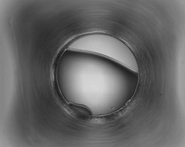 X0000116430350200912081225