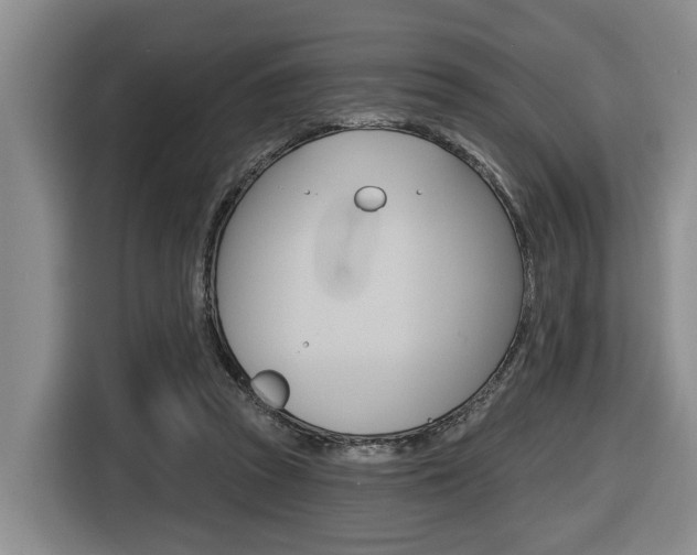 X0000116430353200912081225