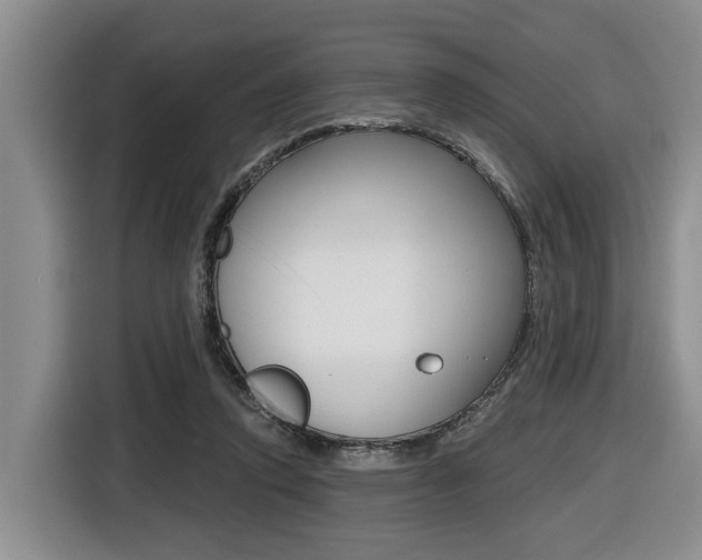 X0000116430354200912081225