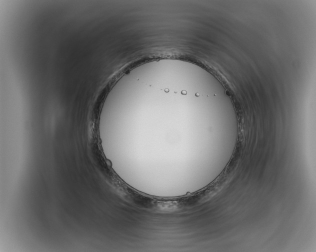 X0000116430355200912081225