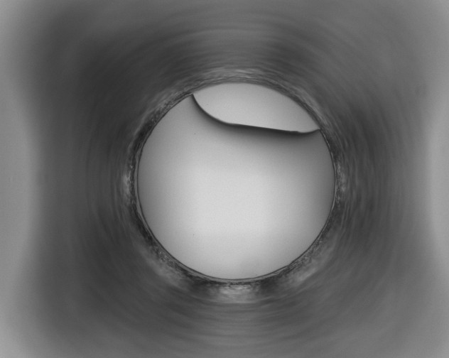 X0000116430357200912081225