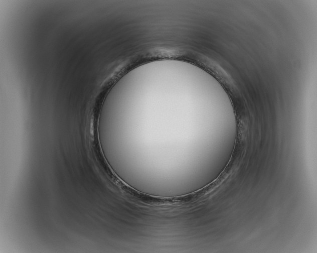 X0000116430358200912081225
