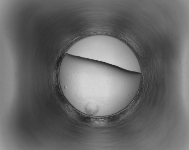 X0000116430359200912081225