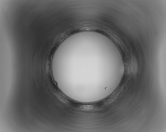 X0000116430361200912081225