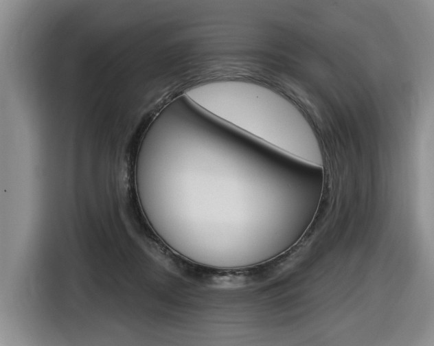X0000116430362200912081225