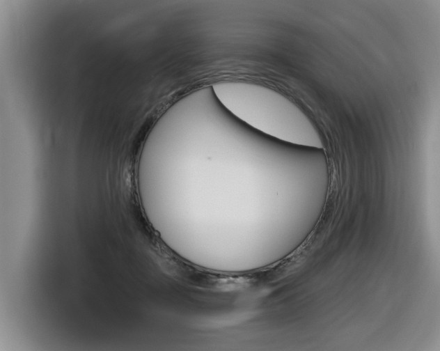 X0000116430363200912081225