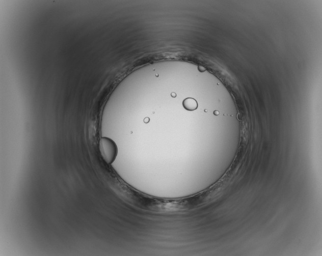 X0000116430365200912081225