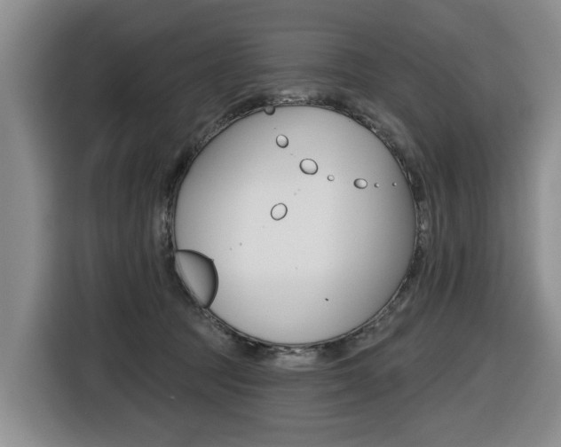 X0000116430369200912081225