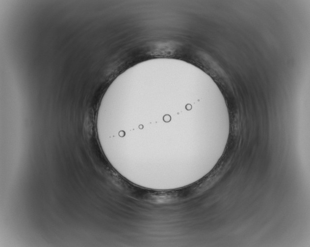 X0000116430370200912081225