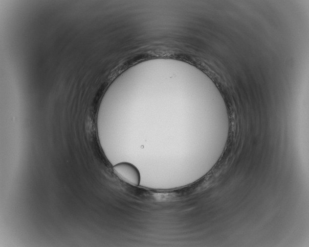 X0000116430371200912081225