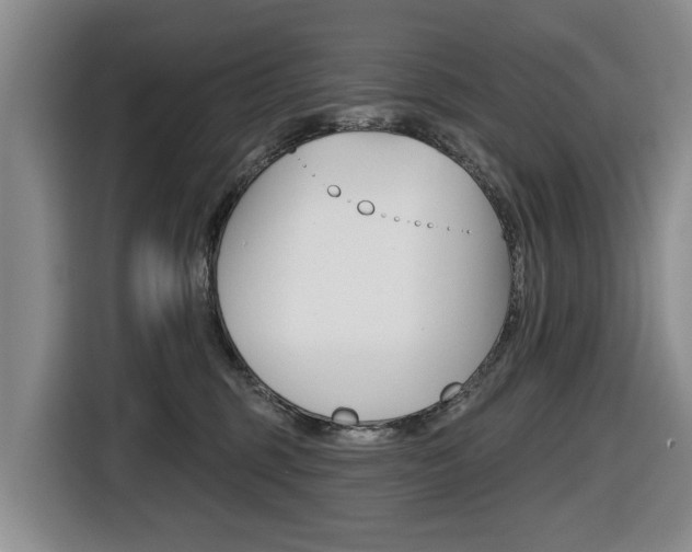 X0000116430375200912081225