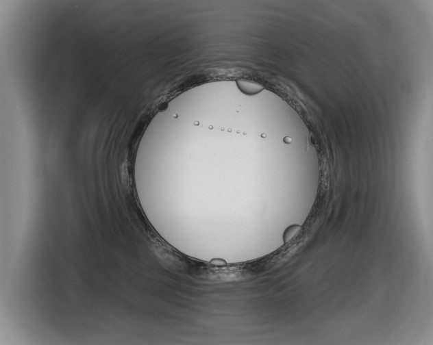 X0000116430377200912081225