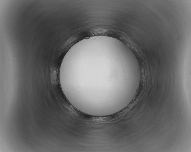 X0000116430378200912081225
