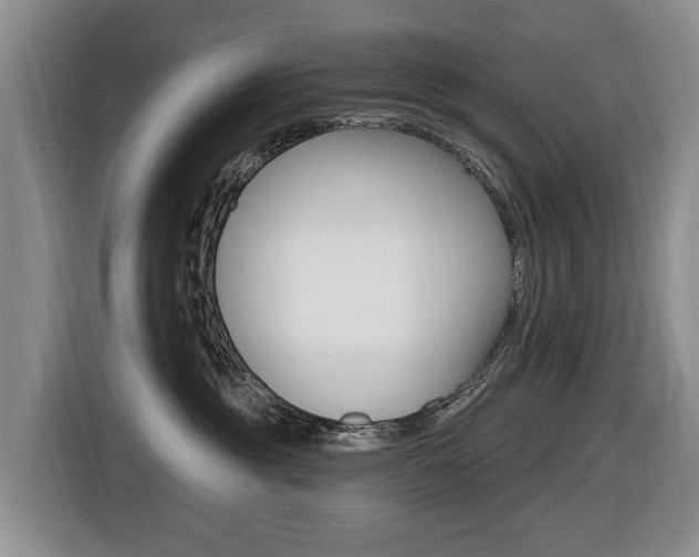 X0000116430381200912081225