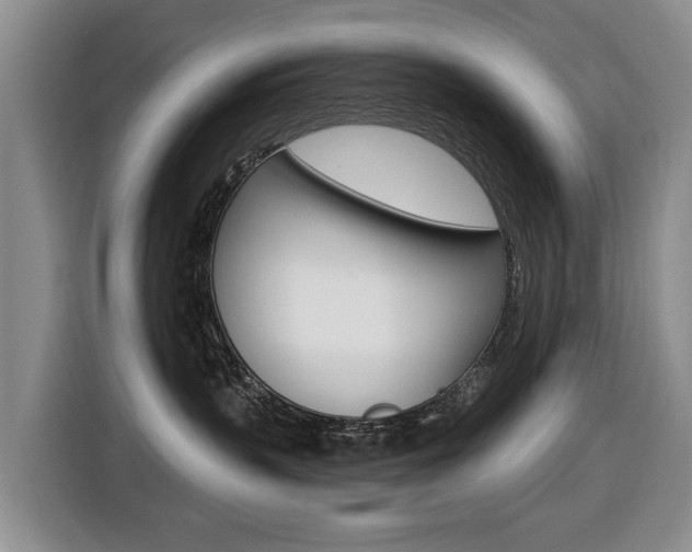 X0000116430383200912081225
