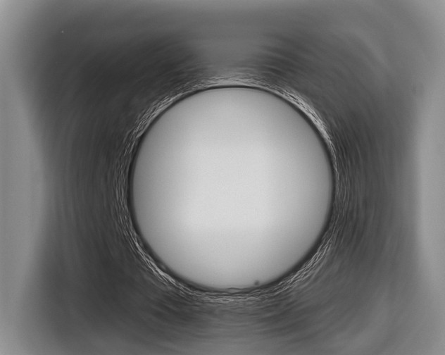 X0000116430385200912081225