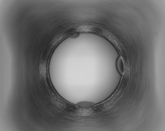 X0000116430386200912081225
