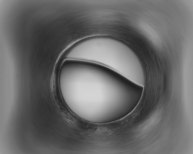 X0000116430388200912081225