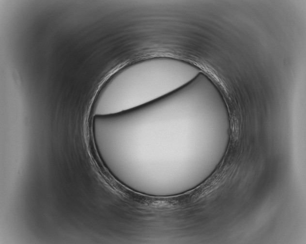 X0000116430390200912081225