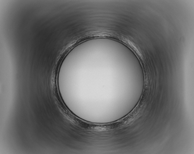 X0000116430394200912081225