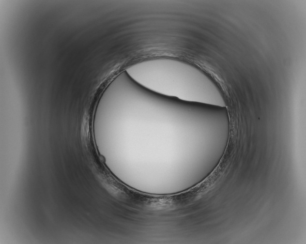 X0000116430398200912081225
