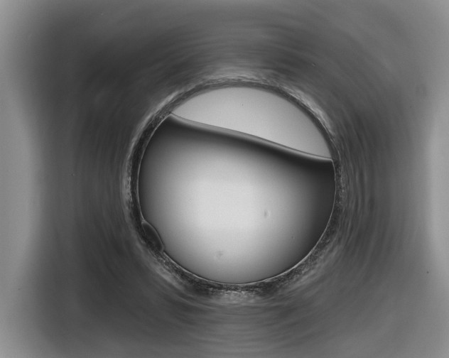 X0000116430399200912081225