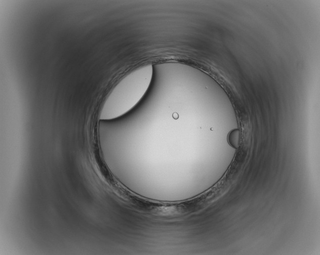 X0000116430406200912081224