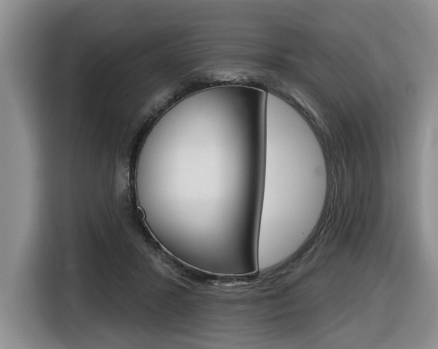 X0000116430407200912081224