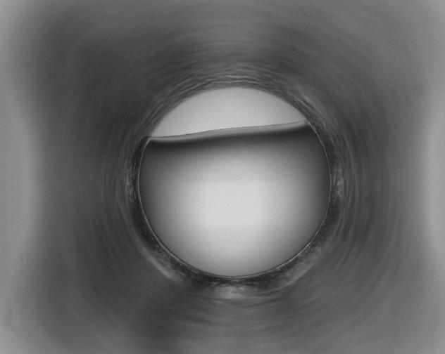 X0000116430408200912081224