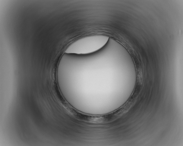 X0000116430410200912081224