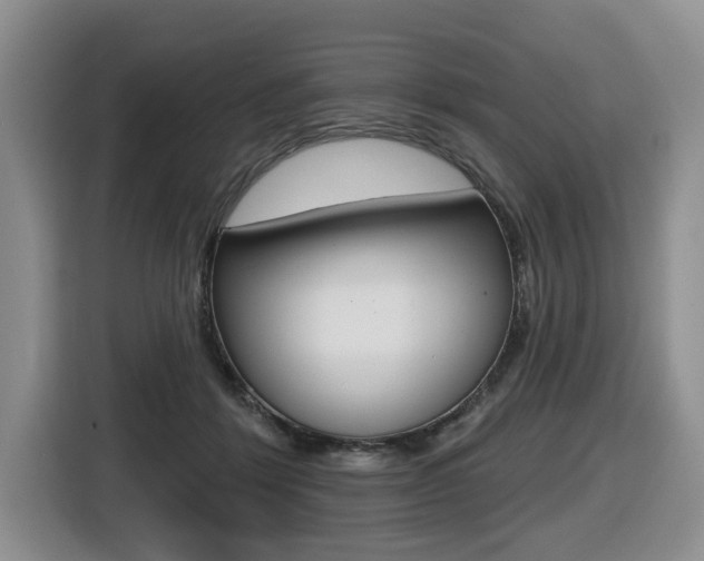X0000116430412200912081224