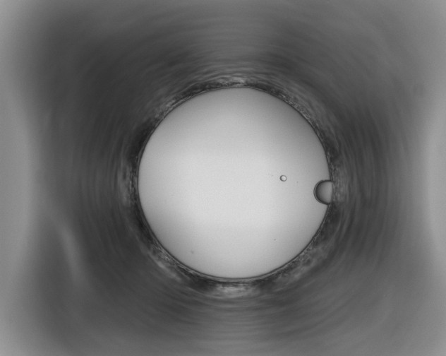 X0000116430414200912081224