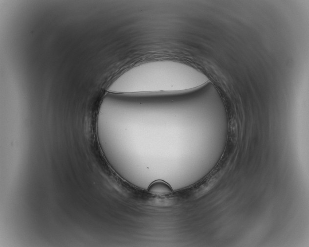X0000116430416200912081224