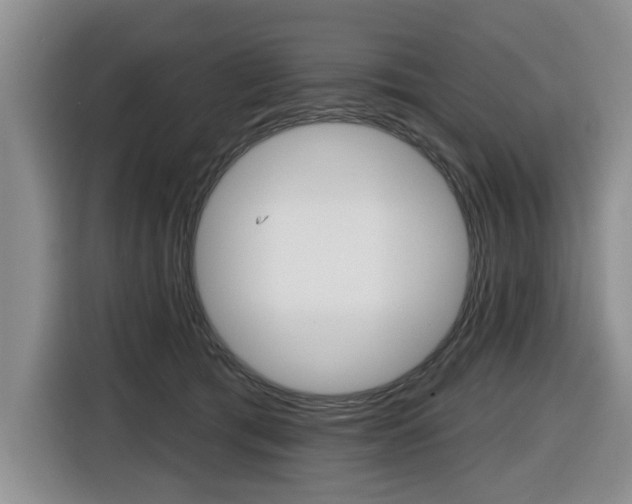 X0000116430417200912081224