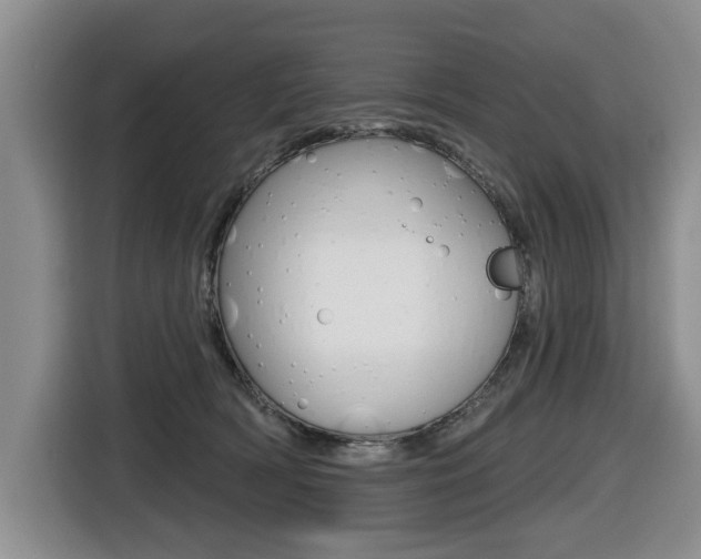 X0000116430418200912081224