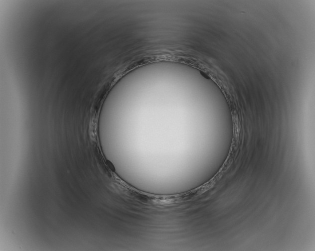 X0000116430419200912081224