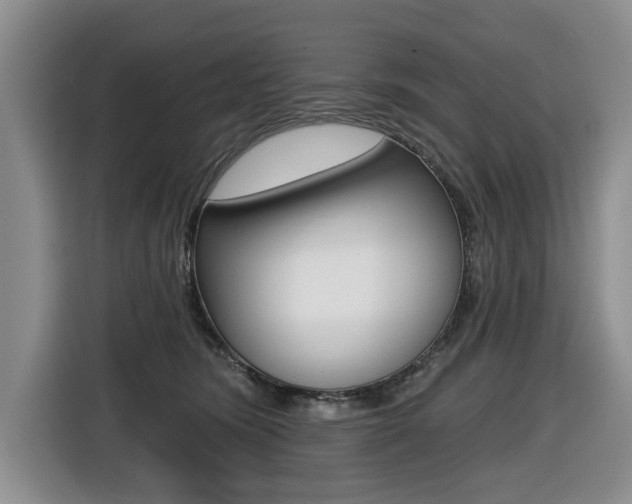 X0000116430420200912081224