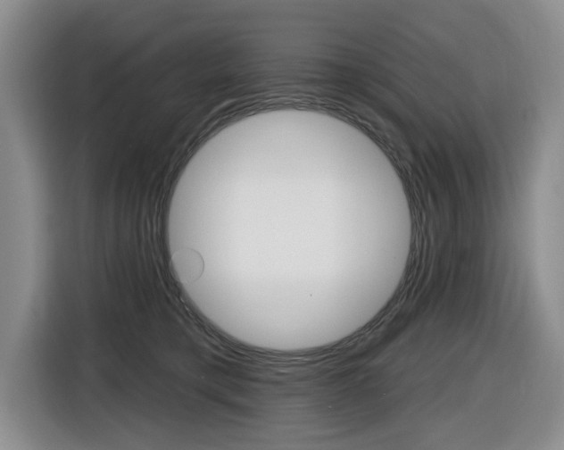 X0000116430421200912081224