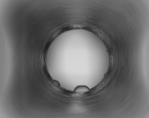 X0000116430422200912081224