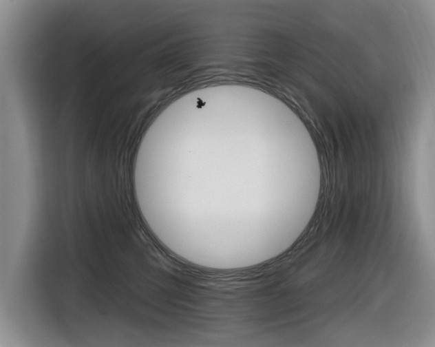 X0000116430423200912081224