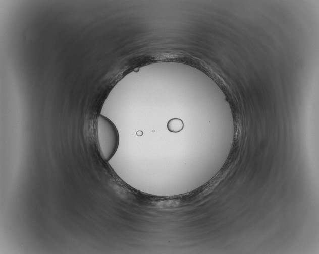 X0000116430426200912081224