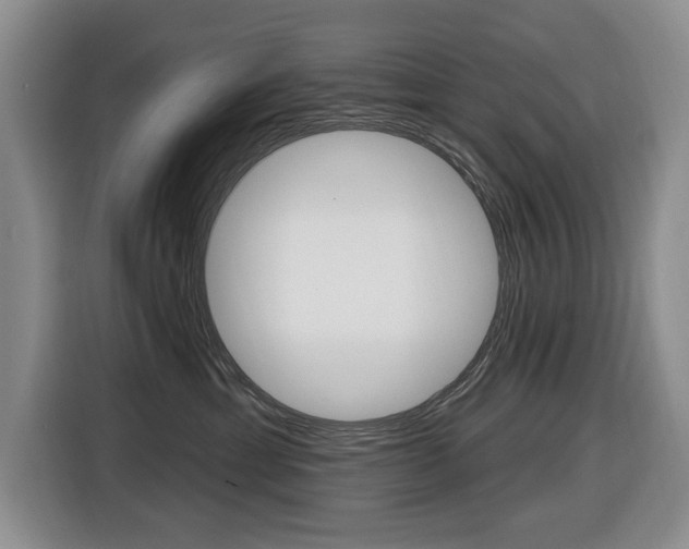 X0000116430429200912081224