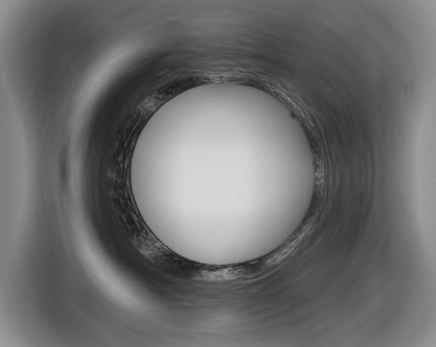 X0000116430430200912081224