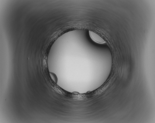X0000116430432200912081224