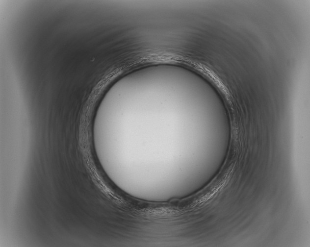 X0000116430433200912081223