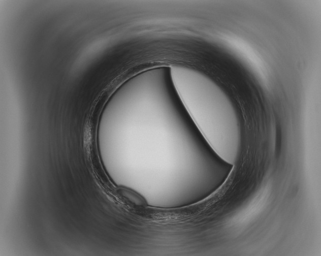 X0000116430435200912081223