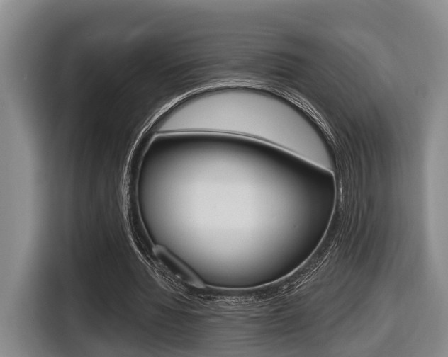 X0000116430436200912081223