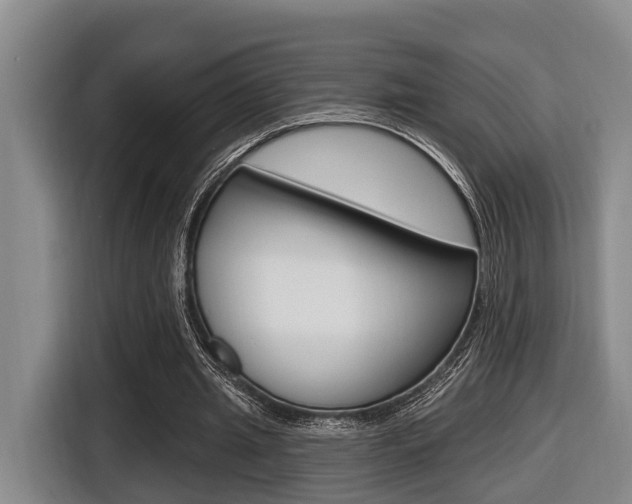 X0000116430437200912081223