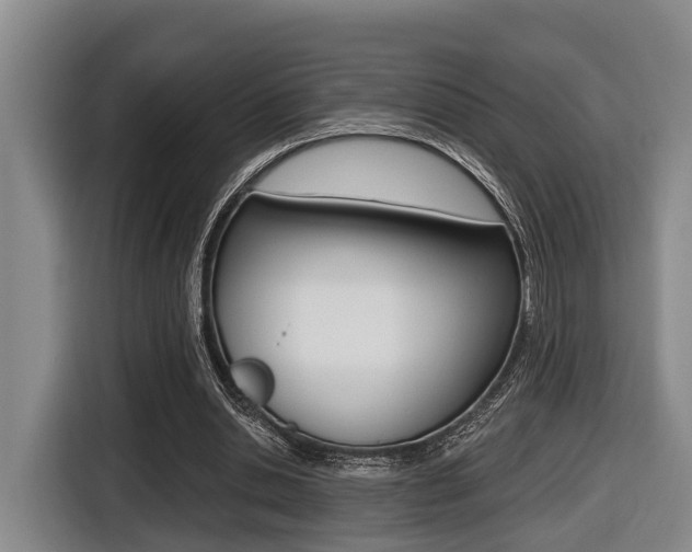 X0000116430438200912081224